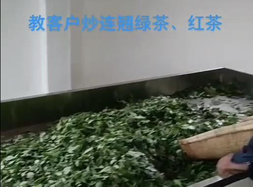 連翹綠、紅茶全套加工設(shè)備
